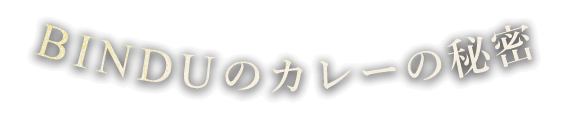 BINDUのカレーの秘密 