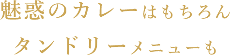 タンドリーメニューも