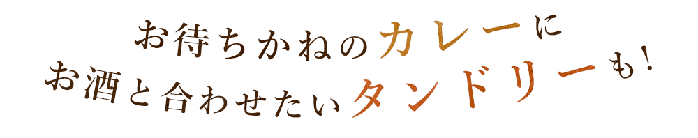 お酒と合わせたいタンドリーも