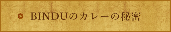 BINDUのカレーの秘密
