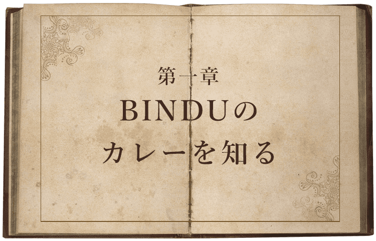 BINDUのカレーを知る