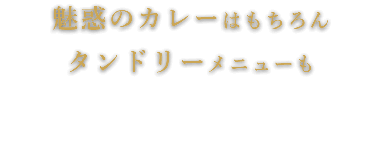 タンドリーメニューも