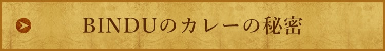 BINDUのカレーの秘密