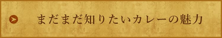 まだまだ知りたいカレーの魅力
