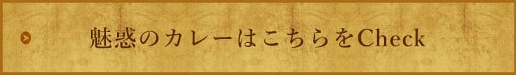 魅惑のカレーはこちらをCheck
