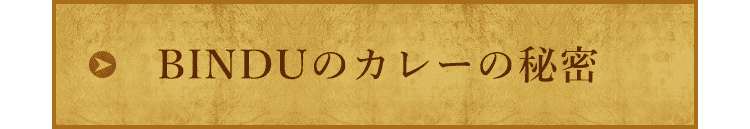 BINDUのカレーの秘密